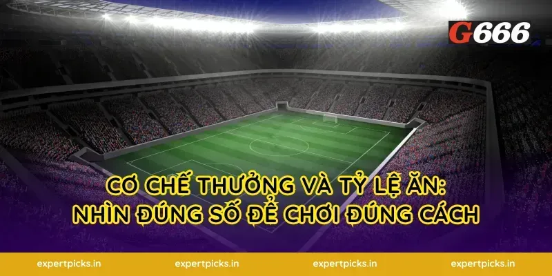 Cơ chế thưởng và tỷ lệ ăn: nhìn đúng số để chơi đúng cách