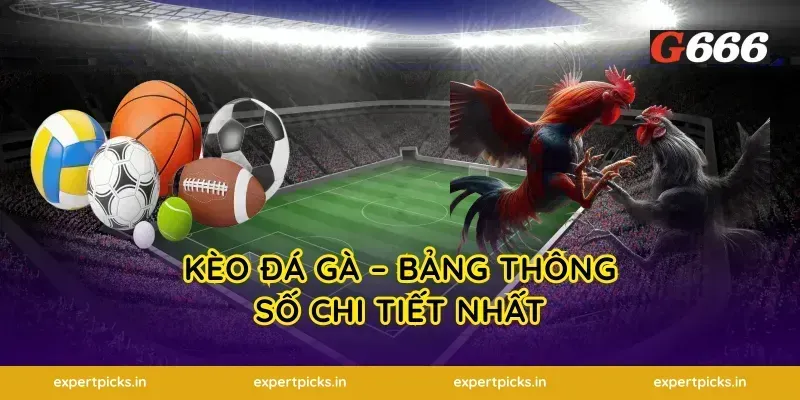 Kèo Đá Gà – Bảng Thông Số Chi Tiết Nhất