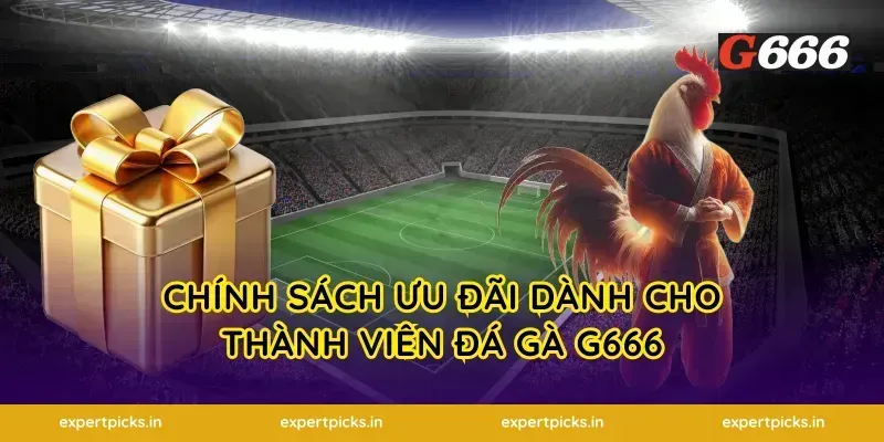 Chính Sách Ưu Đãi Dành Cho Thành Viên Đá Gà G666