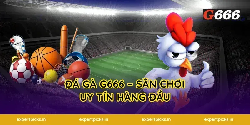 Đá Gà G666 – Sân Chơi Uy Tín Hàng Đầu