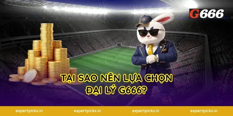 Tại sao nên lựa chọn đại lý g666?