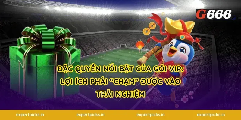Đặc quyền nổi bật của gói VIP: lợi ích phải “chạm” được vào trải nghiệm