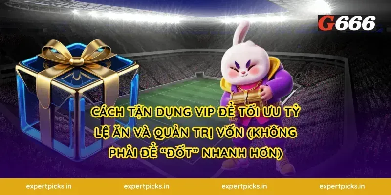 Cách tận dụng VIP để tối ưu tỷ lệ ăn và quản trị vốn (không phải để “đốt” nhanh hơn)