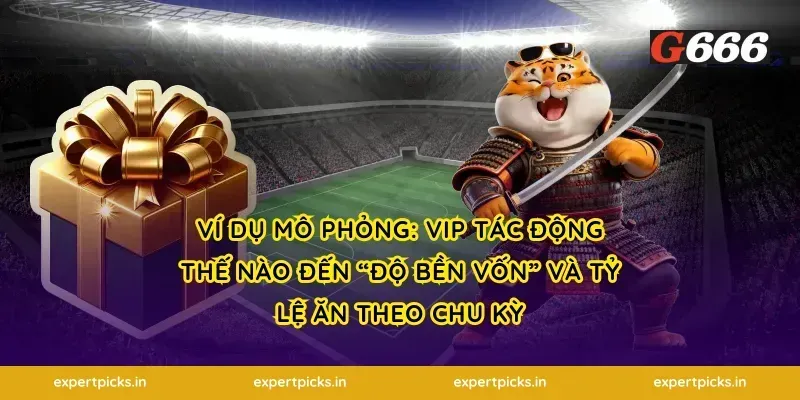 Ví dụ mô phỏng: VIP tác động thế nào đến “độ bền vốn” và tỷ lệ ăn theo chu kỳ