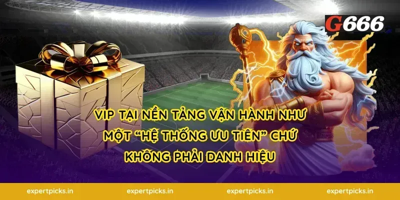VIP tại nền tảng vận hành như một “hệ thống ưu tiên” chứ không phải danh hiệu