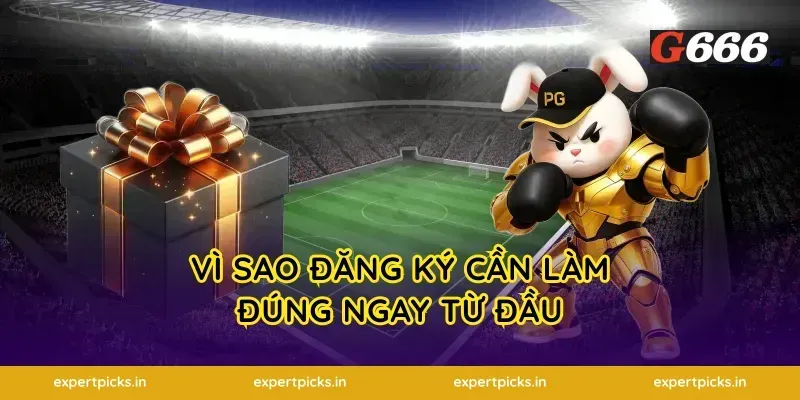 Vì sao đăng ký cần làm đúng ngay từ đầu
