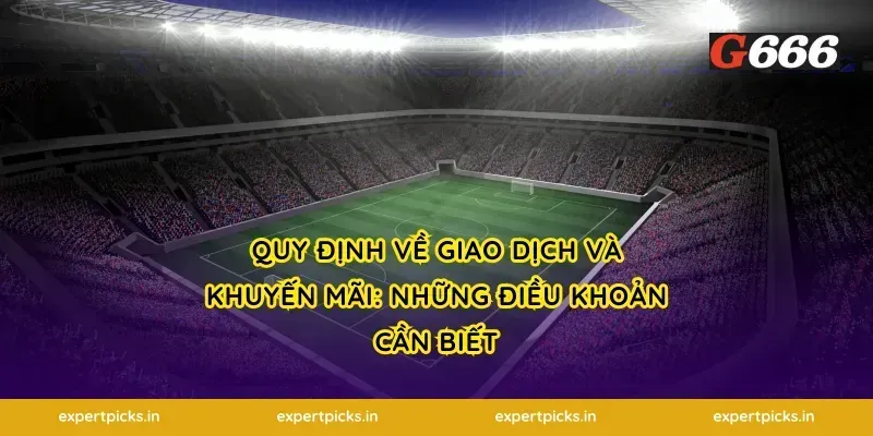 Quy định về giao dịch và khuyến mãi: Những điều khoản cần biết