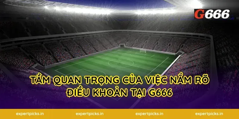 Tầm quan trọng của việc nắm rõ điều khoản tại G666