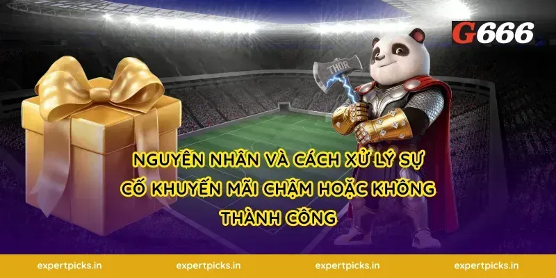 Nguyên nhân và cách xử lý sự cố khuyến mãi chậm hoặc không thành công
