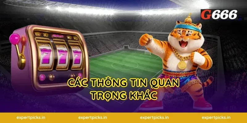 Các Thông Tin Quan Trọng Khác