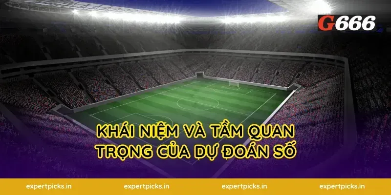 Khái niệm và tầm quan trọng của dự đoán số