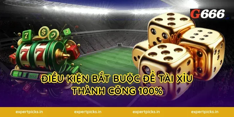 Điều kiện bắt buộc để tài xỉu thành công 100%