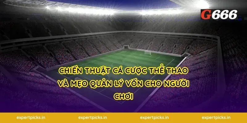 Chiến thuật cá cược thể thao và mẹo quản lý vốn cho người chơi