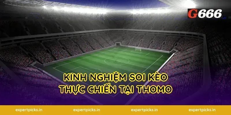 Kinh nghiệm soi kèo thực chiến tại Thomo