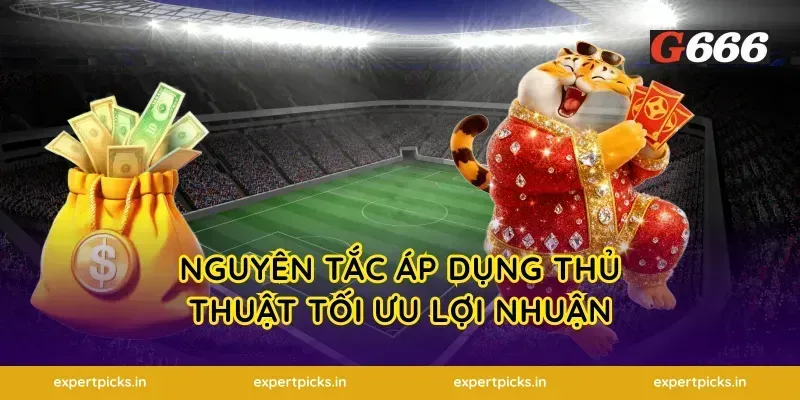 Nguyên tắc áp dụng thủ thuật tối ưu lợi nhuận